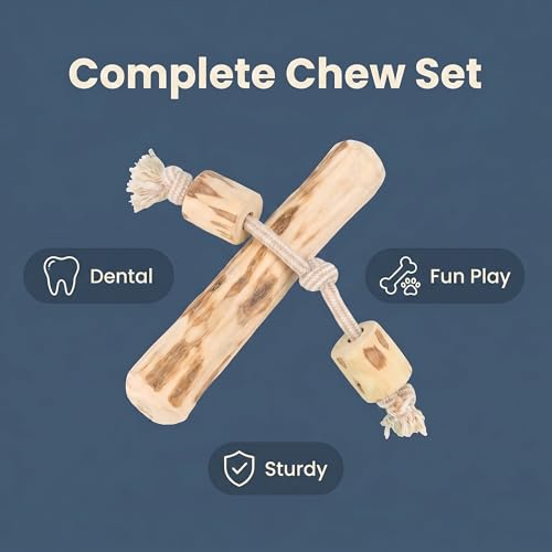 Natural Coffee Wood Dog Chew Toy Set, 1 Rope Knot Interactive Toy + 1 Coffee Wood Chew Stick, Heavy Duty Sturdy Durable, Healthy Teeth Cleaning Chew Toys for Medium Large Dogs