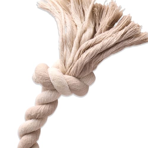 Pet Passion Natural Rubber Tire and Organic Cotton Rope Pull and Chew Dog Toy for All Pet Breeds, Almond Milk, Large - color: Almond Milk, size: Large