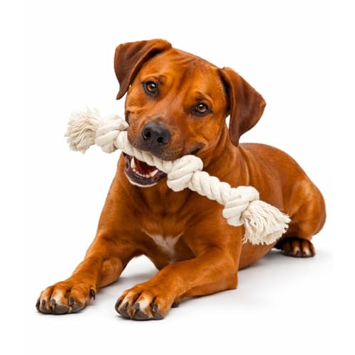 Dog Rope Toys for Large/Medium Aggressive Chewers, Tough Cotton Chew Toy, 39 Inch 5 Knots Indestructible, Tug of War Dog Pull Rope Teeth Cleaning (3 Knots (Pack of 2)) - size: 3 knots (Pack of 2)