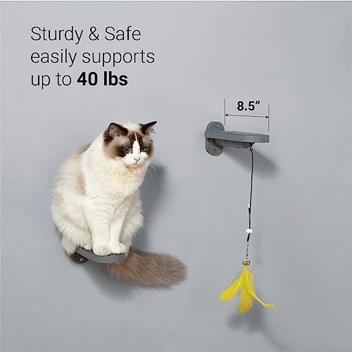 SVD.PET 3-Pack Cat Steps, Climbing Stairs with Replaceable Felt Pad, Shelves with Cat Toy, Wall Furniture (Dark Grey) - color: Dark Grey, size: Climbing Step x 3