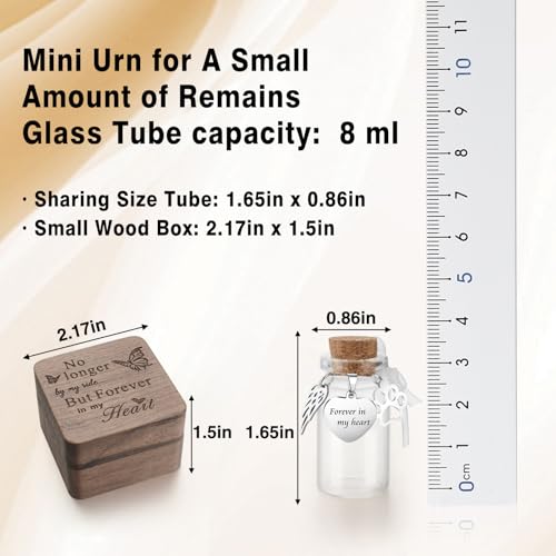 SOITIS Small Pet for Dogs Cats Wooden Box Tiny Glass Urn Pet Ashes Keepsake - color: Silver Paw
