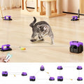 AsFrost Interactive Cat Toy for Indoor Cats Chase/Run/Hunt/Exercise-Purple - color: Elegant Purple