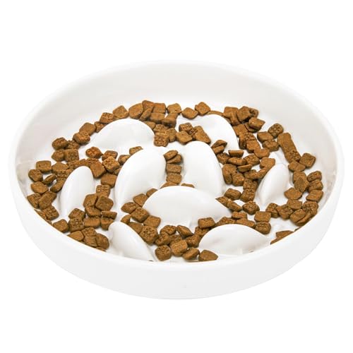 Ceramic Slow Feeder Cat Bowl 6.3" Wide (White) - color: Slow Feeder Bowl