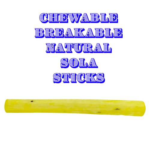 5515 Skinny Rainbow Sola Logs Pk4 - Bird Foraging Foot Toys - color: Rainbow Skinny Sola Logs, size: Pack 4