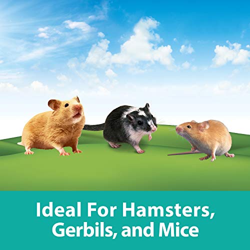 Kaytee CritterTrail Fun-nel 16-Piece Assorted Hamster Tubes - size: 16-Piece Assorted Tubes Kit