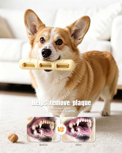 Bite and Brush Dog Chew Toy, Natural Rubber Durable Stuffable Dog Toy for Small & Medium Dogs, Teeth Cleaning Chew with Grooves, Interactive Treat Toy to Keep Dogs Busy (1, Yellow) - color: Yellow