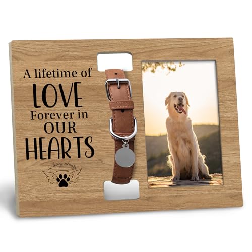 Dog Cat Pet Memorial Picture Frame with Collar Holder, 4x6 Photo, Black, White, Wooden, Traditional Style, Tabletop/Wall Mount - color: lifetime