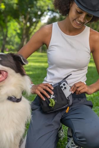 OllyDog Backcountry Day Bag | Dog Training Treat Pouch | Eco-Friendly Recycled Fabric Fanny Pack with Zipper Closure, Built-in Poop Bag Dispenser & Adjustable Waist Belt (Castle Rock) - color: Castle Rock