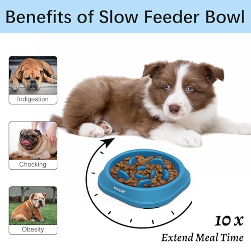 MateeyLife 2-Pack Slow Feeder Dog Bowls, 1 Cup, Dog Puzzle Feeder Bowl - color: A-LightBlue&DarkBlue, size: Small