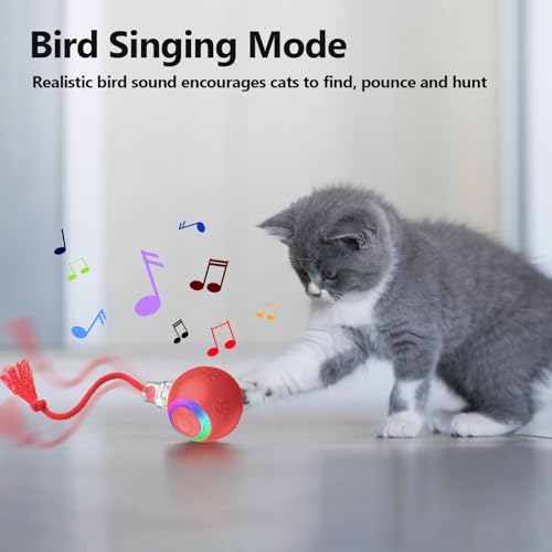 Speed 2.0 Tail Interactive Cat Toys, Rechargeable Ball for Indoor Cats - color: Red