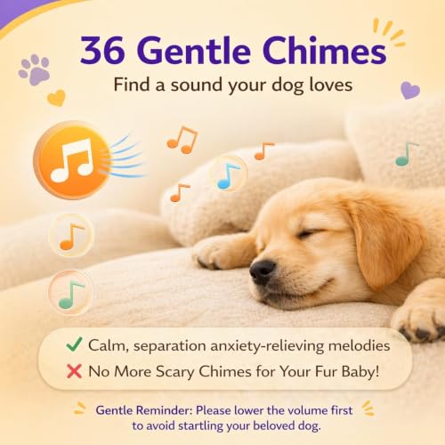 ChunHee Bells for Dog Training to Go Outside - Dog Door Bell with 36 Custom Sounds | Bell for Dogs to Ring to Go Potty | 5 Adjustable Volume(0-115dB) | Teach Puppies to Signal to Go Outside - color: 2 Purple-yellow Button
