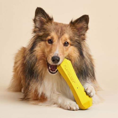 Playology Squeaky Chew Stick - Scented Dog Toy - Medium, Chicken Scent, 2pk - size: Medium (VALUE 2-Pack), style: Chicken