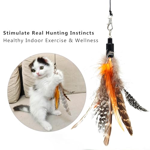 miwoowim 7PCS Cat Wand Refills, 6 Natural Feathers & Replacement String - color: 6 Feather Refills