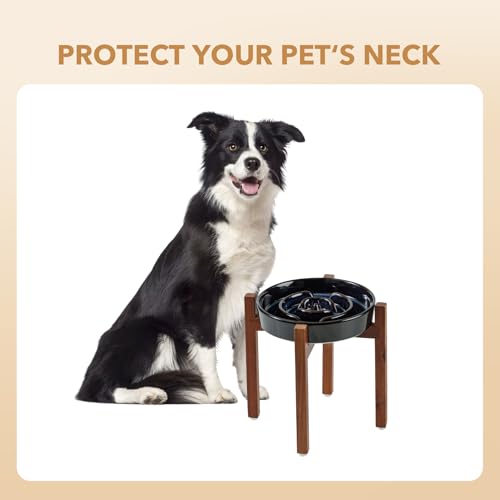 Havniva Raised Slow Feeder Dog Bowls, Elevated Dog Bowls Slow Feeder - color: 1 x Starry Sky + Stand - A, size: L- 8.2inch / 1.6 Cups