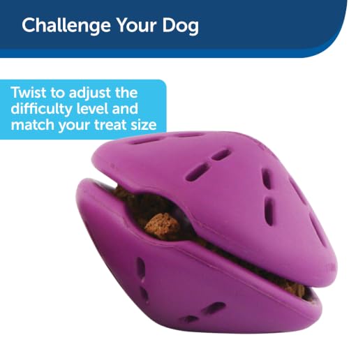 PetSafe Busy Buddy Twist 'n Treat Dispensing Dog Toy, Small - size: Small (Pack of 1)