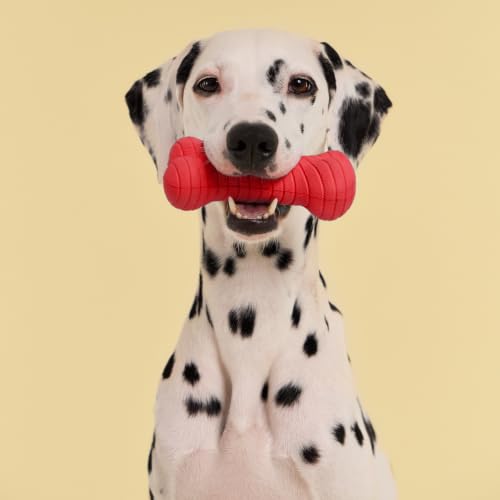 Playology Dual Layer Bone Dog Chew Toy - Jumbo, Beef Scent - size: Jumbo, style: Beef