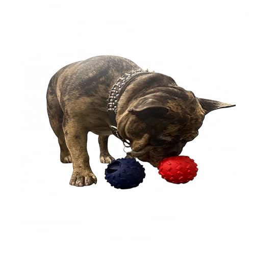Piggy Poo and Crew Challenging Treat Dispensing Balls 4 Pack for Pigs Piglets Dogs Rabbits Cats Small Animals (Red Dark Blue Green Orange) - color: Red Dark Blue Green Orange