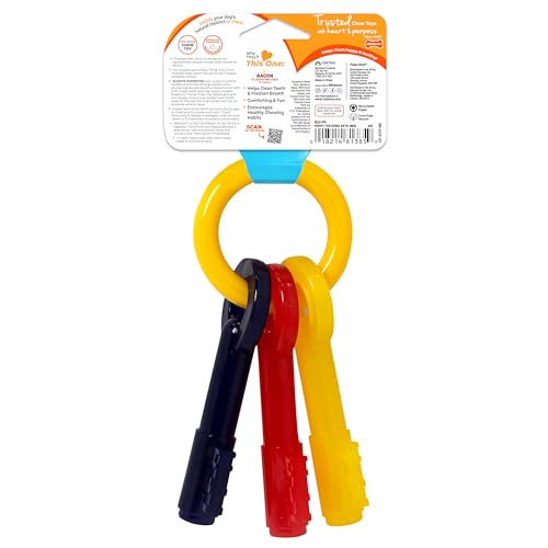 Nylabone Puppy Chew Teething Keys Dog Chew Toy, Bacon Flavor, Medium - size: Medium