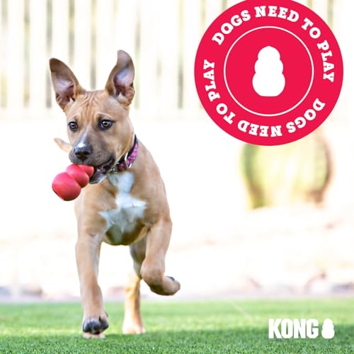 KONG Extreme Dog Toy, Durable Natural Rubber Chew, for Large Dogs - size: Large (Pack of 1)