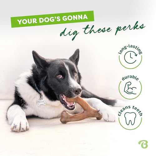 Benebone 2-Pack Wishbone Toy for Aggressive Chewers, Real Bacon, Medium - size: 2 Pack - Medium