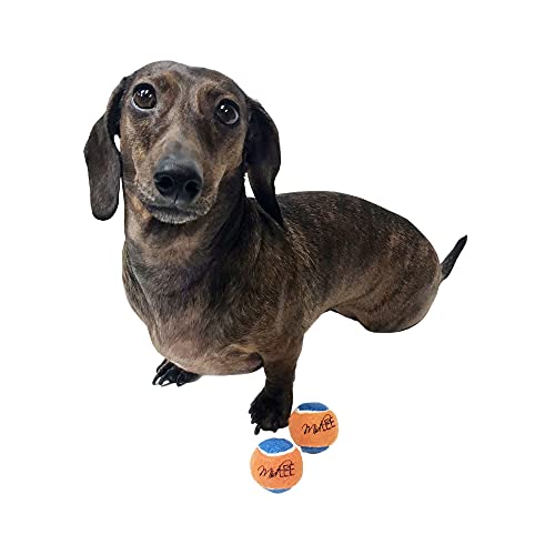 Midlee Squeaky Mini Tennis Ball for Dogs 1.5"- Pack of 12 (Orange/Blue) - color: Orange