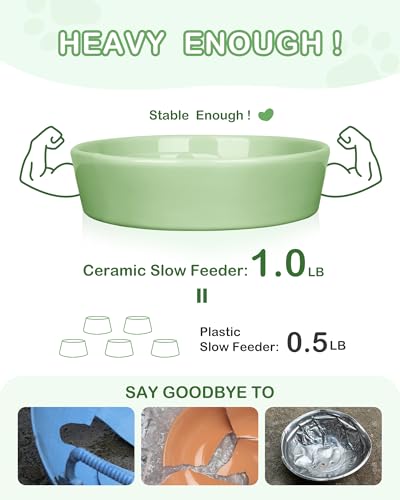 TRUVIC Ceramic Slow Feeder Dog Bowls Small Breed, 0.6 Cup Slow Feeder Cat Bowls for Fast Eaters, Ceramic Dog Food Dish no Black Chin, Puzzle Bowl for Small Dogs and Cats, Green - color: 04-Green, size: S-0.6 Cups