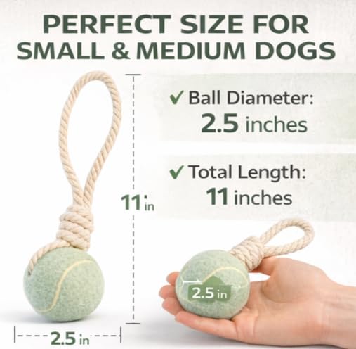 Dog Chew Toy for Small to Medium Dogs, Green - color: green