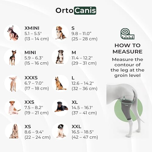 Ortocanis Dog Knee Brace for Hind Leg Support – (XXXS, Right Leg) - size: Size XXX-Small (6,4 - 7 ")