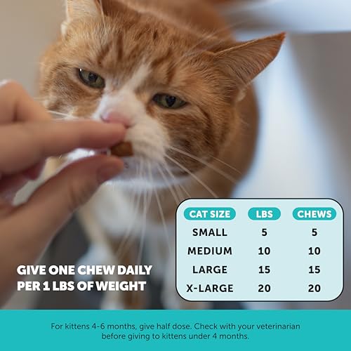 Cat Calming Treats for Anxiety Relief - Dual Texture Crunchy Creamy Calming Chews for Cats - Feline Stress Relief Behavior Support for Travel, Vet Visits, Grooming, Separation Anxiety (90-Day Supply) - size: 90-Day Supply