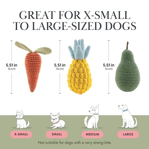 Nina Woof Organic Cotton Squeaky Dog Toy Set – Fruits & Veggies Pack