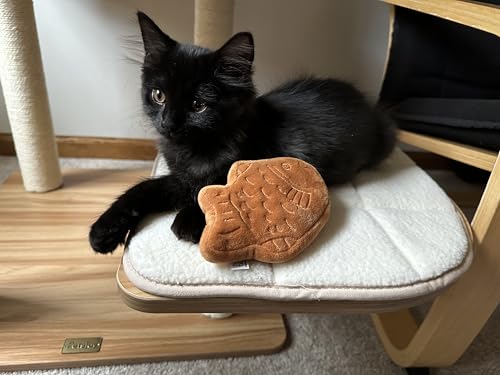 munchiecat Japanese Taiyaki Toy with Organic Catnip | Refillable, Washable for Cats and Kittens | Crinkles