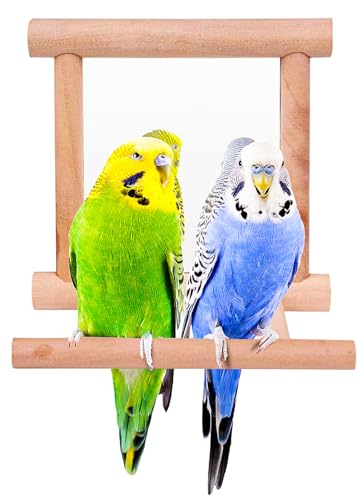 Bllesqelax Bird Parakeet Mirror for Cage,Parrot Perch Stand,Wooden Hummingbird Swing Toy,Parakeet Accessories for Cockatiels Conure Finch Lovebird Canary African Grey Macaw