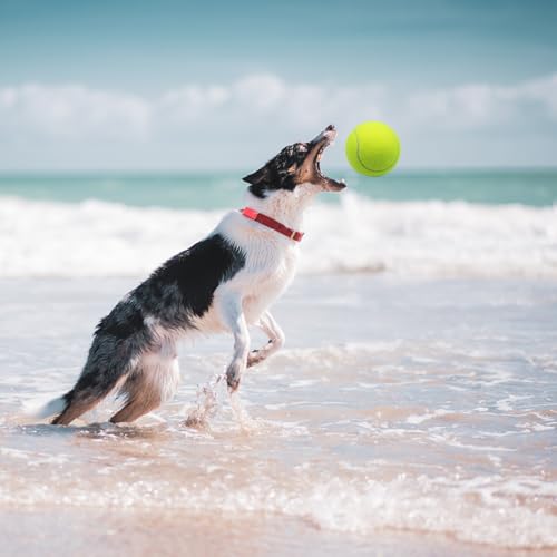 Magicorange Large Tennis Balls for Dogs, 2 Pack 4 Inch Big Tennis Ball - size: 2 pack
