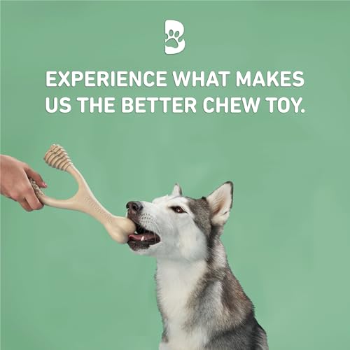 BetterBone Moderate Density Veggie-Scented Dog Chew Toy, Large, Plant-Based Wishbone Dental Enrichment Toy for Chewers Over 60 lbs - size: Large