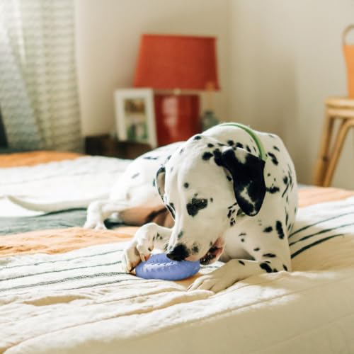 Playology Dual Layer Ring Dog Toy for Aggressive Chewers, Blueberry Scent - size: Jumbo, style: Blueberry