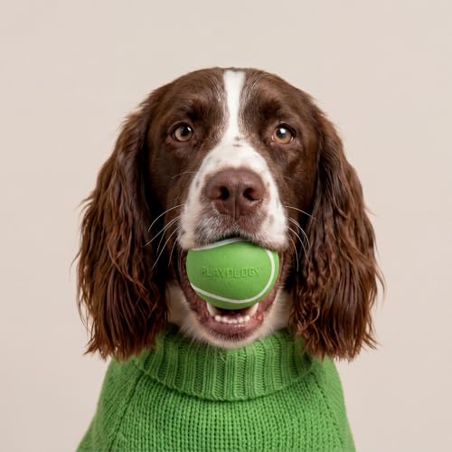 Playology Squeaky Chew Ball Dog Toy - Medium, Turkey Scent - size: Medium, style: Mom's Turkey