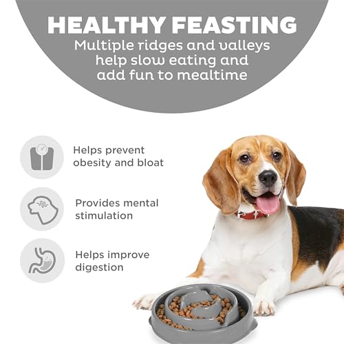 Outward Hound Fun Feeder Slo Bowl Dog Slow Feeder, Drop, Gray, 8.8" - color: Gray, size: Medium