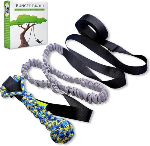 LOOBANI Outdoor Bungee Tug Toy, Interactive Tree Hanging Dog Toys, Black - color: Blue