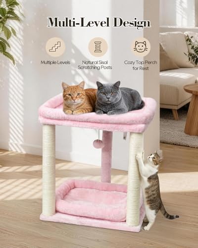 SYANDLVY Small Cat Tree for Indoor Cats with 2 Levels Perch Platforms - color: Pink