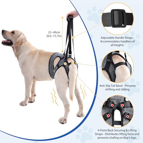 LIANZIMAU Dog Sling for Large Dogs Adjustable Hind Leg Support Lift Harness Senior Canine Mobility Aid Carrier for Back Legs Walking Rehabilitation - color: Grey, size: XL（Waist:24"-30")