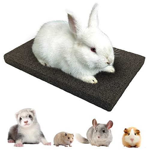 BNOSDM Rabbit Grinding Claw Pads Bunny Scratch Foot Pad Natural - color: Black 1x Large