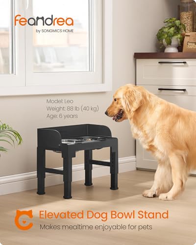 Feandrea Dog Bowls Elevated, Adjustable Height, Tilted Design - color: Ink Black, style: 1 Plastic Slow Bowl + 2 Stainless Basic Bowl