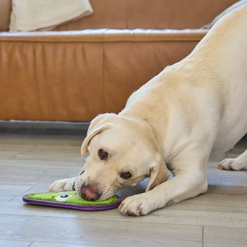 Outward Hound Tough Skinz Durable Chew Plush Squeaky Dog Toy, Avocado, 9" - color: Avocado, size: Medium