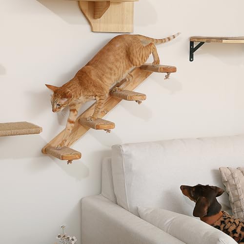 FUKUMARU Cat Climbing Shelf Wall Mounted, Large - size: Large - Bidirectional
