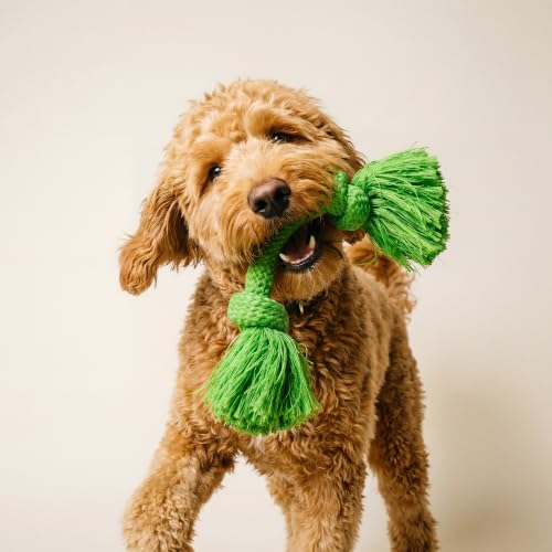 Playology Tug Rope Dog Toys for Medium Dogs - Medium, Sweet Potato Scent - size: Medium, style: Sweet Potato