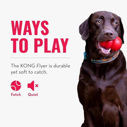 KONG Flyer, Natural Rubber Flying Disc, for Small Dogs (Pack of 2) - size: Small(2-Pack)