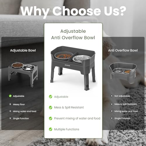 4-in-1 Elevated Slow Feeder Dog Bowls, 4 Height Adjustable Mess Proof Raised Dog Bowl Stand with Licking Plate, 2 Stainless Steel Dog Food Bowl & Slow Feeder for Large Medium Small Dogs Pets - color: Grey, size: 1 Slow Feeder + 2 Stainless Steel Bowls