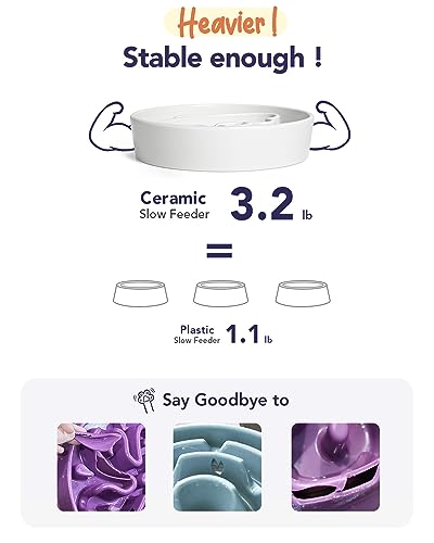 LE TAUCI Dog Bowls Slow Feeder Ceramic, 1.5 Cups Slow Feeding Dog Bowl Small Medium Breed, Puppy Bowl for Fast Eaters,Angel White - color: Angle White, size: M-1.5 Cups