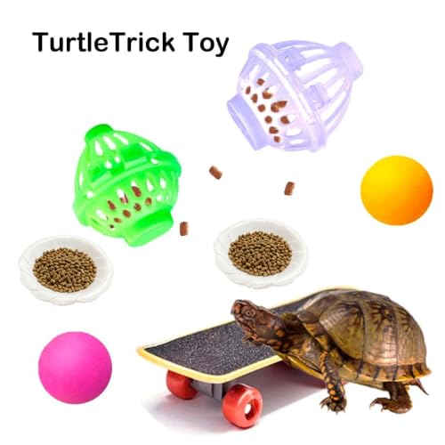 11 pcs Turtle Enrichment Toys Set Tank Tortoise Feeder Brush Skateboard Aquarium Feed Toy Tortoise Feeding Balls