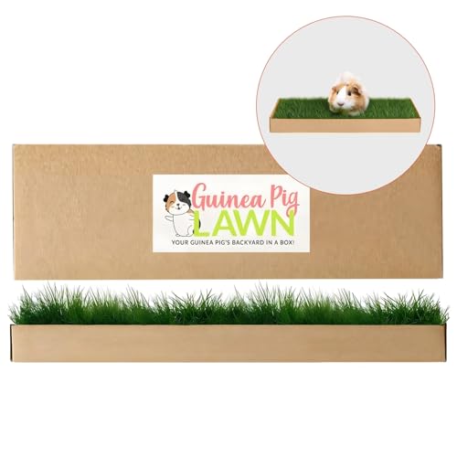 DoggieLawn Guinea Pig Pee Pads, Fresh Grass Mat, Hamster Small Pet Bed 24x9 - size: 24X9 inch
